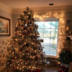 Meet your Posher, Cynthia